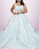 Sky blue sequin and stone work organza gown