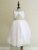 Baby Pink Scalloped Gown